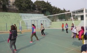 必赢nn699net举行庆三八女子排球比赛